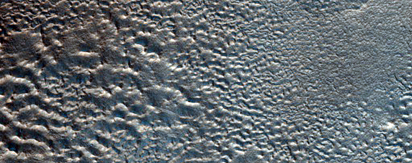 Terrain Sample
