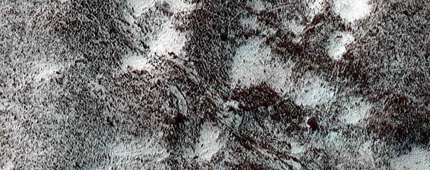 Polar Terrain Sample
