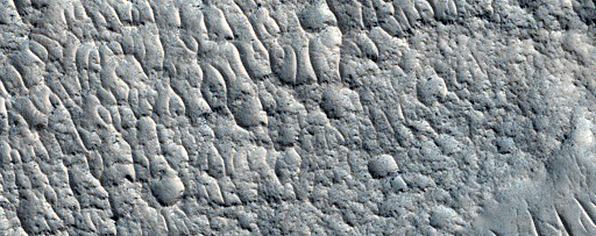 Ridges in Northern Mid-Latitudes
