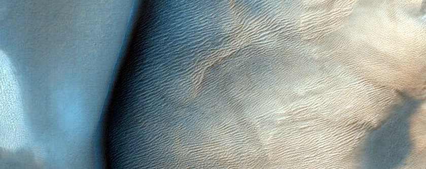 Dune with Seasonally-Persistent Light-Toned Features
