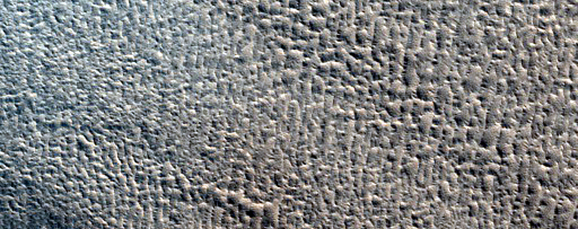 Terrain Sample
