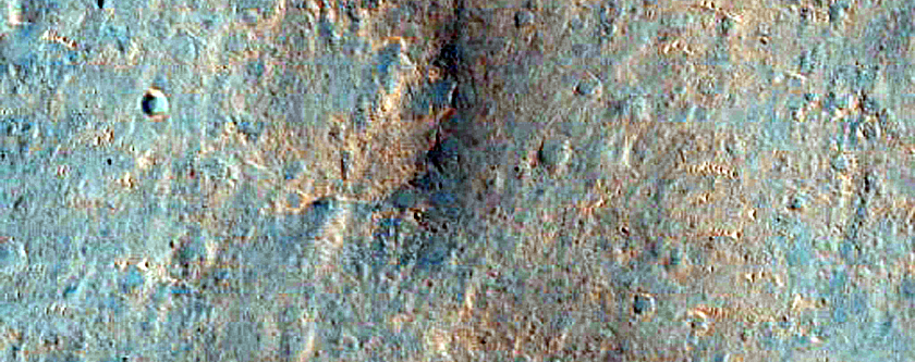 Terrain Sample
