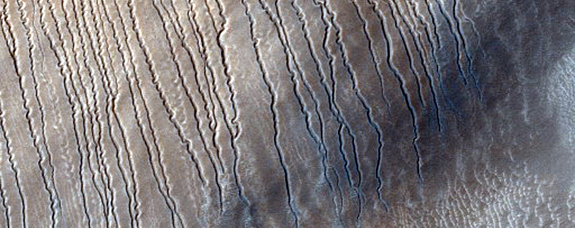 Dunes with Linear Gullies in Hellas Planitia
