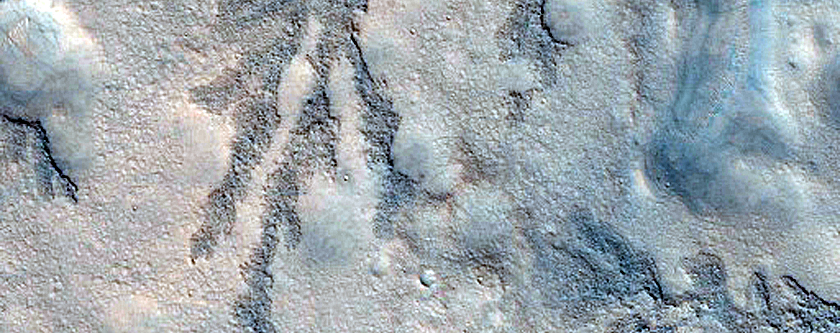 Branched Features within Antoniadi Crater
