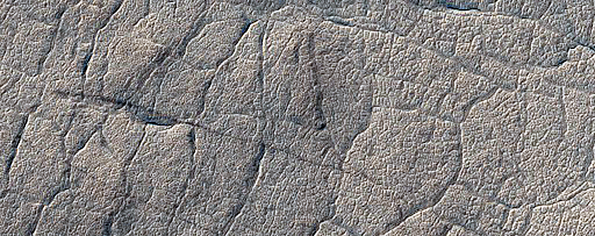 Terrain Sample

