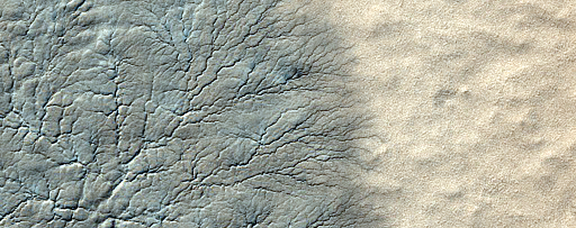 Monitor Seasonal Changes at South Polar Cracked and Gullied Site
