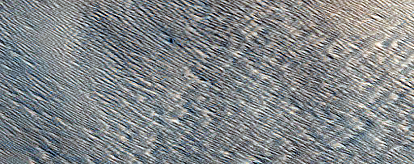Monitoring New Impact Site
