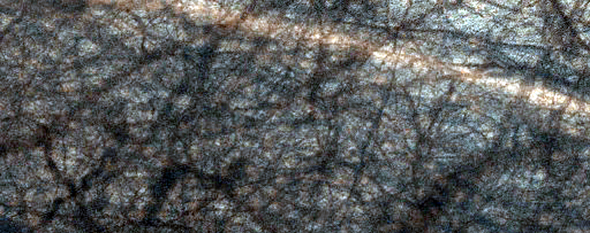 USGS Dune Database Entry Number 1116-699
