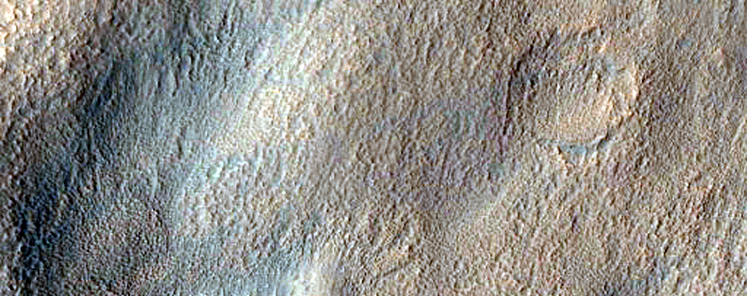Terrain Sample
