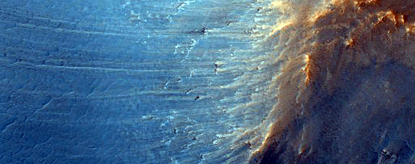 Terrain Sample

