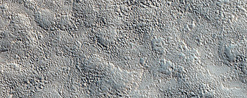Albedo Monitoring in Phlegra-Diacria Region
