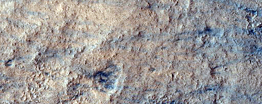 Monitoring Dust Devil Tracks

