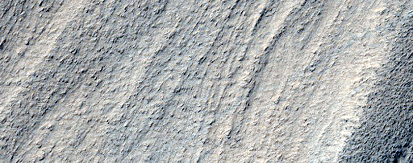 Ridge Network in Hellas Planitia
