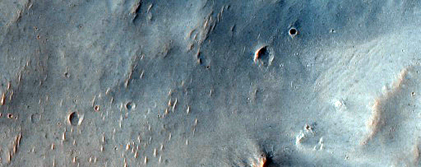 Terrain Sample
