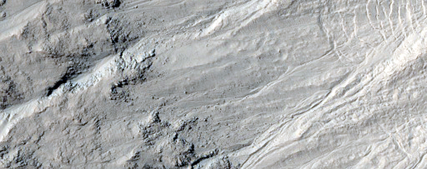 Gully Monitoring
