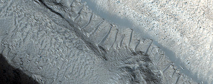 Layers in Trough Near Elysium Fossae
