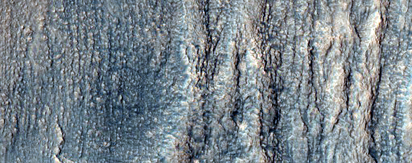 Gully Monitoring
