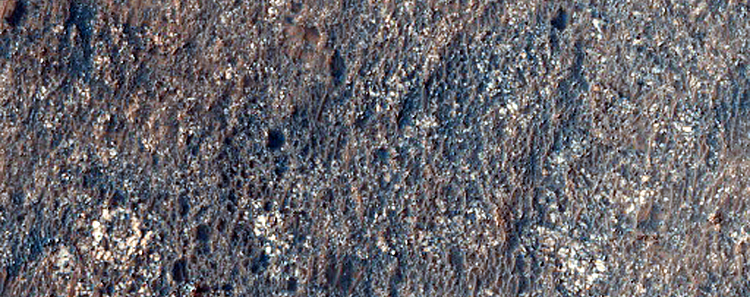Terrain Sample
