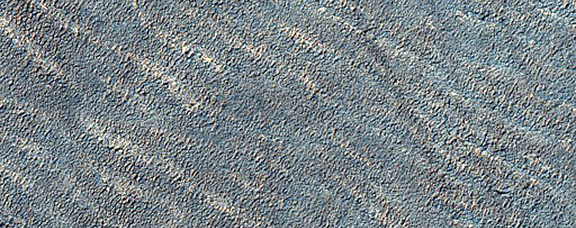 Terrain Sample
