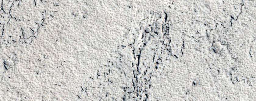 Channel in Northern Amazonis Planitia
