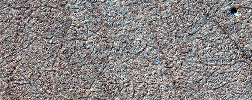 Seasonal Frost Distribution

