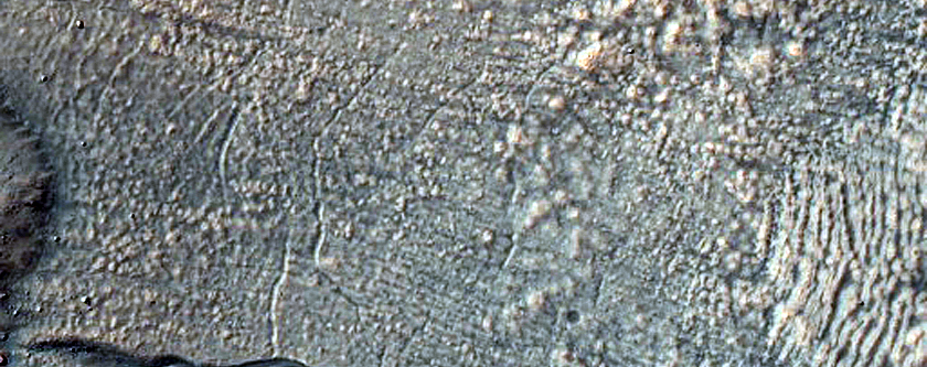 Gully Monitoring
