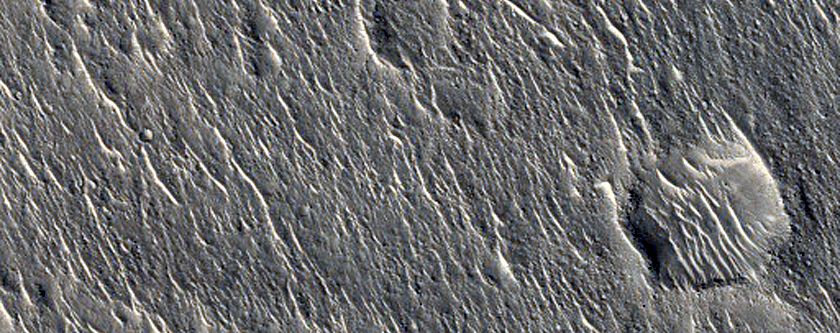 Curvilinear Ridges in Isidis Planitia
