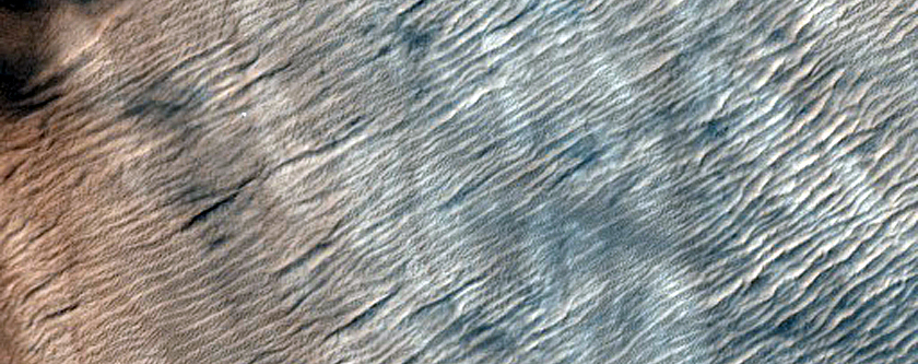 Cryptic Terrain Margin Monitoring in Reynolds Crater

