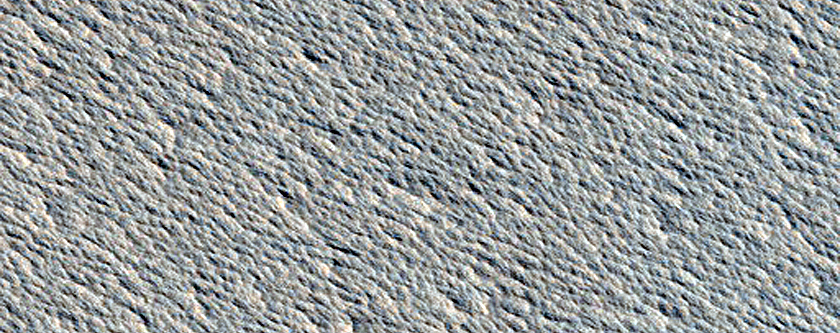 Monitoring New Impact Site
