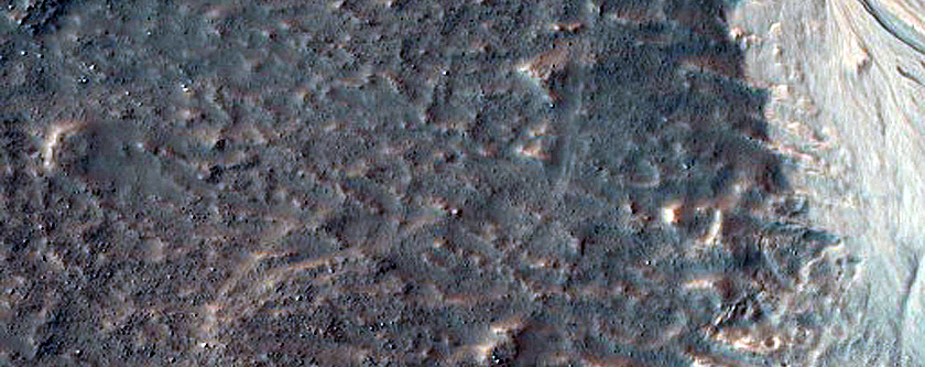 Gullies in Argyre Region
