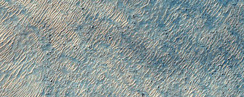 Dunes with New Spider Forming

