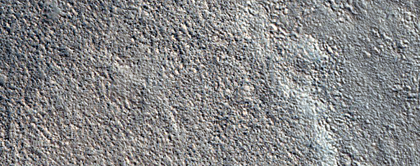 Contact in Arcadia Planitia
