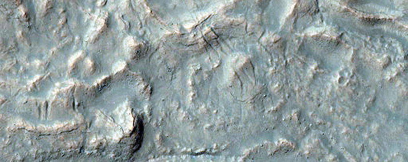 Gully Monitoring
