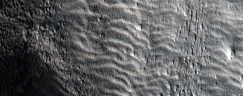 Flows in Northern Mid-Latitudes

