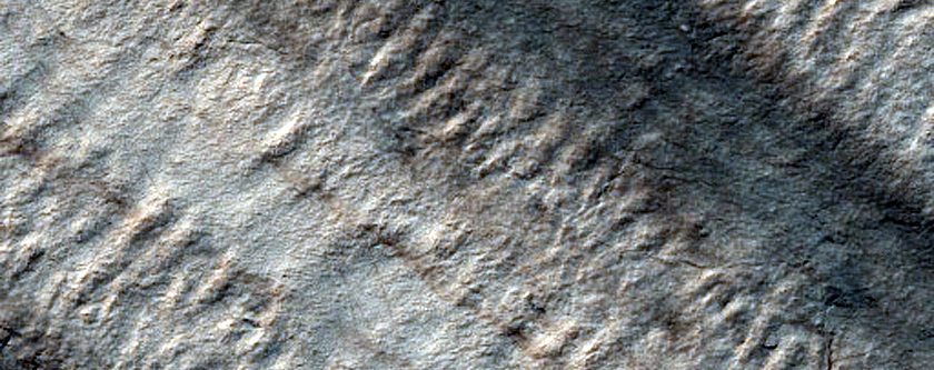 Exposure of Basal Layered Deposits in Chasma Australe
