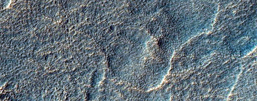 Gullies in Southern Mid-Latitude Crater