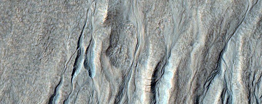 Gullies in Crater West of Argyre Region
