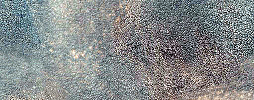 USGS Dune Database Entry Number 1172-694
