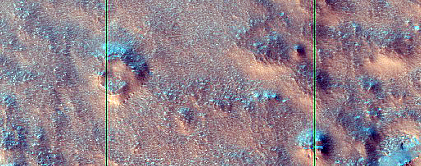 Diverse Surface Features in Utopia Planitia
