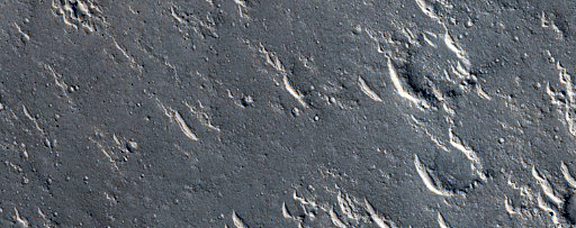 Isidis Planitia Terrain
