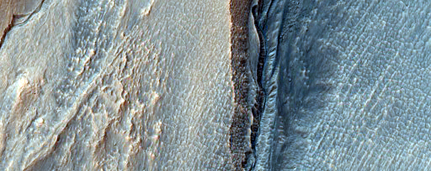 Gully Monitoring
