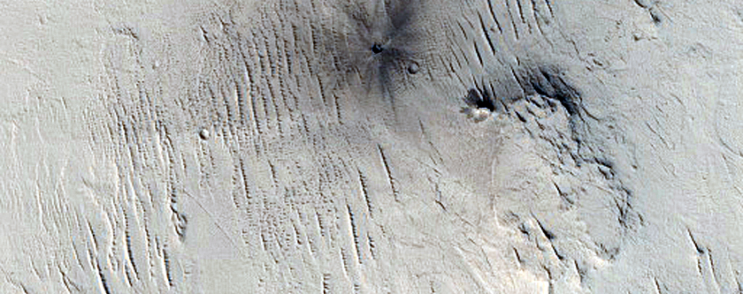 Monitoring New Impact Site
