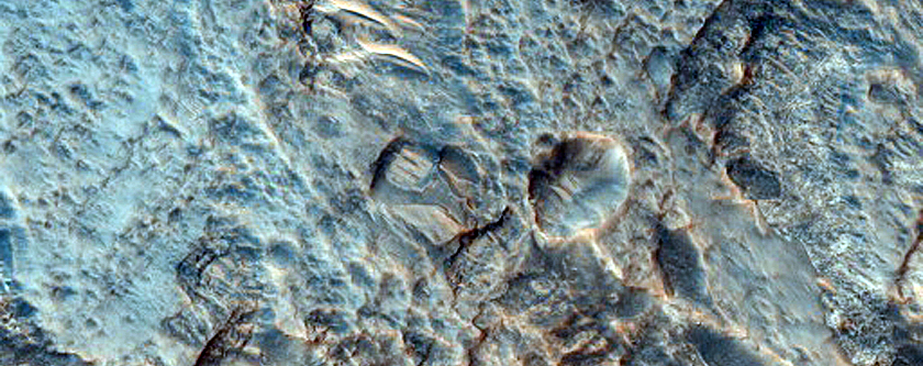 Dissected Fan or Delta in Terby Crater
