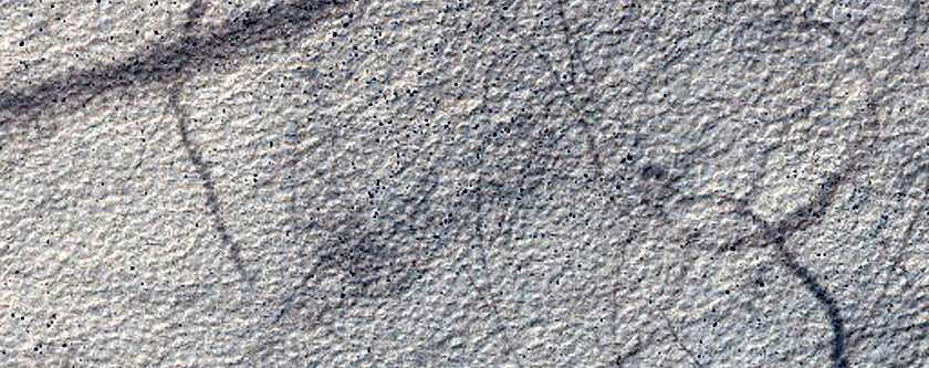Monitoring Dust Devil Tracks in Terra Cimmeria
