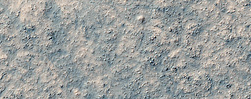 Olivine-Rich Crater Floor in Terra Sirenum
