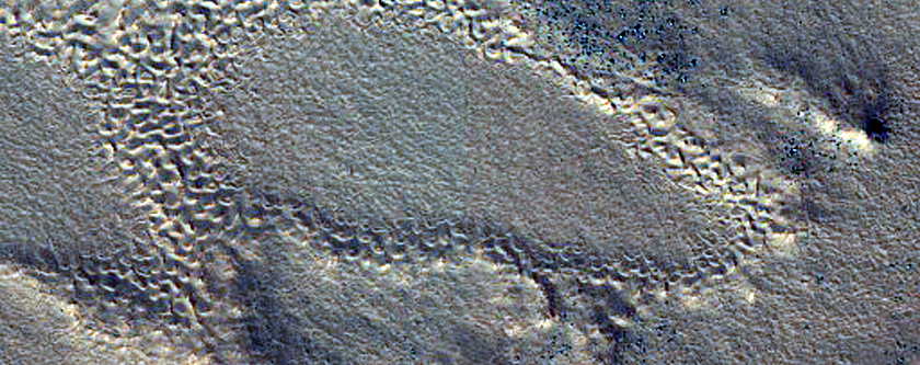 Concentric Crater Fill in Deuteronilus Mensae
