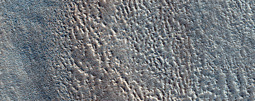 Ridges in Arcadia Planitia