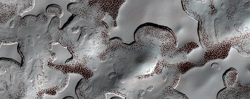 Monitoring of South Polar Residual Cap Albedo Features

