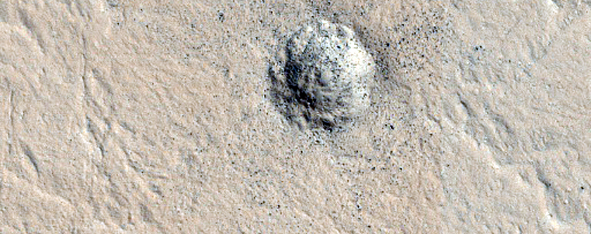 Bright Spot in Day and Night Infrared
