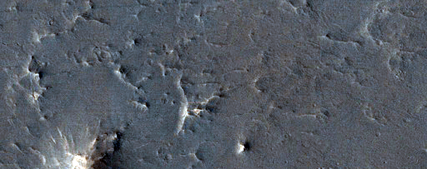 Circular Feature with Radial and Circumferential Ridges
